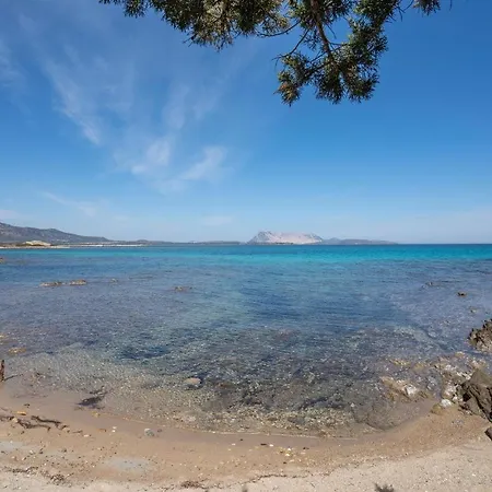 Apartamento Bilo 4
